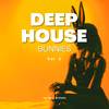 Rainha - Deep House Elements