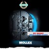 My Secret - MOLLEX