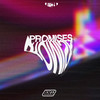 Promises - Niall T