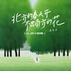 北方的春天开不出南方的花 (DJ范小松版) - 独琴者&范小松