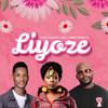 Liyoze (feat. Ze2 & King Tone SA) - Josh Deman&Zé2&King Tone SA