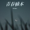 妈妈我爱你 - 阿宏楠木