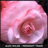 Exploration (Original Mix) - Alex Wilde