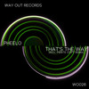 That's The Way (Pirate Copy Remix) - Pheelo&Pirate Copy