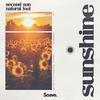 Sunshine - Second Sun&Natural Fool