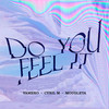 Do You Feel It - Vamero&Cyril M&Mougleta&Andy Dust&Cyril Maalouly&Yasmeen Semaan&Jordan David Rys&Lewis Gardiner