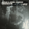 Obsidian - Aekae&ANGEL CANNON