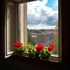 Morning after Rain - Rurik