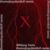 X remix - thomeboydontkill&BRGang&Yes&请你尊重猫咪