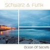 Rush - Schwarz & Funk