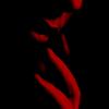 Do You Think Of Me - Alex Savanin&Branchey