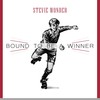 (I'm Afraid) The Masquerade Is Over - Stevie Wonder