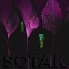 Midnight Run (Radio Edit) - SOTAK (CH)