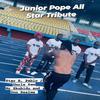 Junior Pope All Star Tribute (feat. Star B, Pablo J, Uncle Sam & Mr Skubido) - Don Realms&Star B&Pablo J&Uncle Sam&Mr Skubido