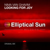 Looking For Joy - Nima van Ghavim