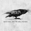 Heavy - David Nail