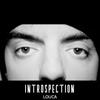 Introspection - Louca