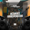 Acordei Arrependido (Explicit) - DJ Paulinho Unico&DJ Raul da ZO&Mc Lipivox