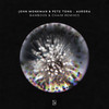 AURORA (Bambook Remix) - John Monkman&Pete Tong&Bambook