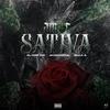 Amor Sativa (feat. EL IVAN 521 & RILLA G) (Explicit) - AYUNGREB3L&EL IVAN 521&Rilla G