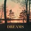 Dreams - Wilmer