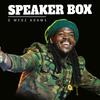 Speaker Box - D-Medz