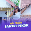 Santri Pekok - New Raxzasa