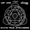 Whats True (Elegy Remix) - Yar Zaa