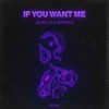 If You Want Me - Jewelz & Sparks