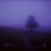 days go by - Antent&my head is empty