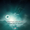 The Nature Of Gravity - Spiritual Molecule