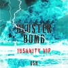 Cluster Bomb (Insanity VIP|Explicit) - Ush