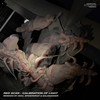 299 792 458 m_s (Sioc Remix) - Red Scan&Sioc