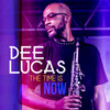 Feeling You (feat. Darryl Williams) - Dee Lucas&Darryl Williams&Orlando Demetrius Lucas&Darryl Lamount Williams