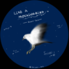 Like a Mockingbird (Slow Ver.) - 诗韡Shiwei