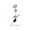 Anemone - Damned