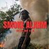 Smoke Alarm (Remix) - Dynamite