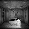 Wonder (Explicit) - Caveman Casanova