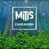 Endeavors - MitiS