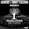 Module (Remix) - Mikey Salerno&Domeno