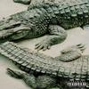 LACOSTE (Explicit) - Morris.wav&Nugg