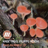Don't Stop Music - AnDe Trois&Filippo Peschi