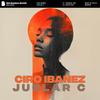 Juglar C (Radio Edit) - Ciro Ibañez