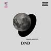 DND - Yungeen MadeitOut&Unghetto&Lud Foe