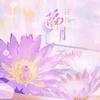 隔月 (《光与夜之恋》查理苏同人曲) - 紫依_七弦剑吟