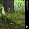 YouMadeYourBed,NowLieInIt - Bones