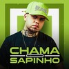 Chama o Sapinho (Explicit) - DJ Lorran