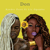 Don - Xander Pratt&Liz Ogumbo