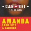 CANSEI - Amanda Sarmento&Larinhx