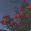BLOSSOMS - Iake